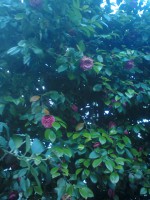 /album/%ce%ad%ce%ba%ce%b8%ce%b5%cf%83%ce%b7-%cf%86%cf%89%cf%84%ce%bf%ce%b3%cf%81%ce%b1%cf%86%ce%b9%cf%8e%ce%bd/%cf%86%cf%89%cf%84%ce%bf%ce%b3%cf%81%ce%b1%cf%86%ce%af%ce%b10055-jpg/