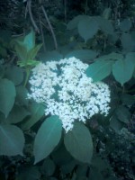 /album/%ce%ad%ce%ba%ce%b8%ce%b5%cf%83%ce%b7-%cf%86%cf%89%cf%84%ce%bf%ce%b3%cf%81%ce%b1%cf%86%ce%b9%cf%8e%ce%bd/%cf%86%cf%89%cf%84%ce%bf%ce%b3%cf%81%ce%b1%cf%86%ce%af%ce%b10053-jpg1/